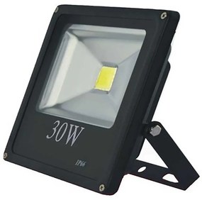 Proiector LED pentru gradina, 30 w, slim, lumina alba rece