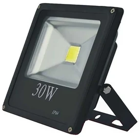 Proiector LED pentru gradina, 30 w, slim, lumina alba rece