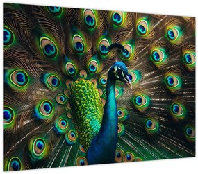 Tablou – Păun (70x50 cm)