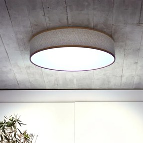 Plafonieră LED dimabilă Brilagi CARMEN LED/48W/230V 3000-6500K + telecomandă