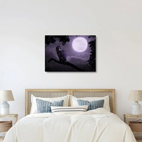 Tablou - Bufniță de noapte, violet (70x50 cm)