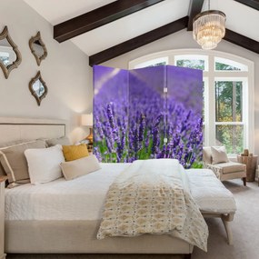 Paravan - Lavanda (126x170 cm)