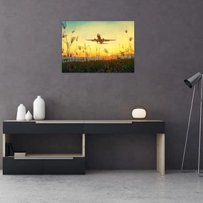 Tablou  cu avion zburând (70x50 cm), în 40 de alte dimensiuni noi