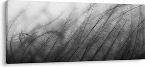 Tablou - Iarba în vânt (120x50 cm)