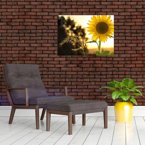 Tablou cu floarea soarelui (70x50 cm)