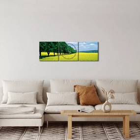 Tablou - Câmp cu alei (cu ceas) (90x30 cm)