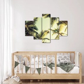 Tablou - Palmieri de cocos (150x105 cm)