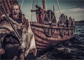Tablou - Războinic viking (70x50 cm)