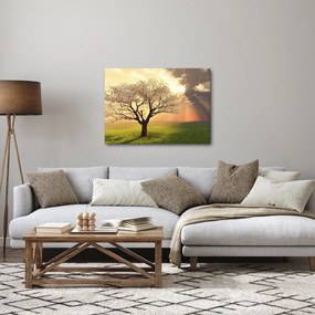 Tablou cu copac pe luncă (70x50 cm)
