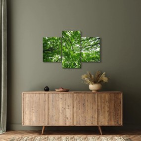 Tablou - privire în coroanele pomilor (90x60 cm)