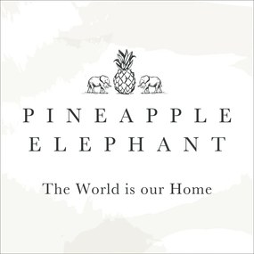 Fețe de pernă 2 buc. 50x75 cm Tamba Stripe – Pineapple Elephant