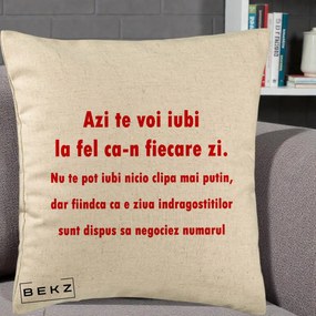 Cadou pentru Iubita - Perna Personalizata Azi Te Voi Iubi, 40x40 cm, Bej, Husa Detasabila, Perna Inclusa, BEKZ®