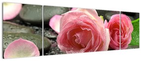 Tablou - trandafiri (170x50cm)