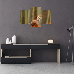 Tablou - Vulpe (90x60 cm)