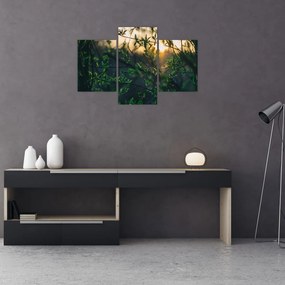 Tablou - Soarele strălucind printre crengile copacilor (90x60 cm)