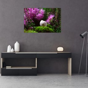 Tablou - Cochilie de melc (90x60 cm)