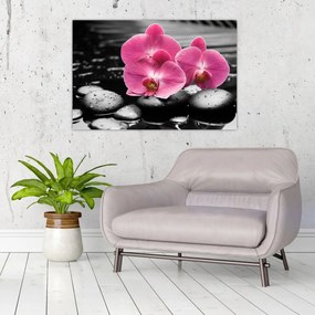 Tablou - Orhidee roz (90x60 cm)