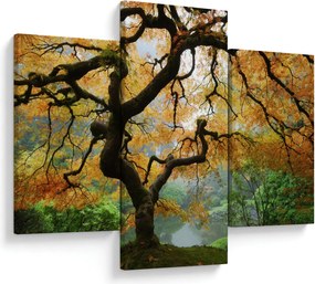 Tablou - Arțarul japonez galben, Portland, Oregon (90x60 cm)