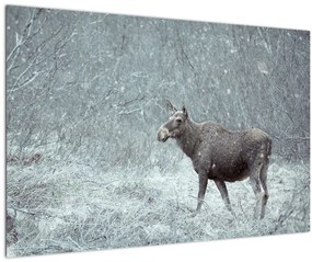 Tablou - Elan într-o pădure înzăpezită (90x60 cm)