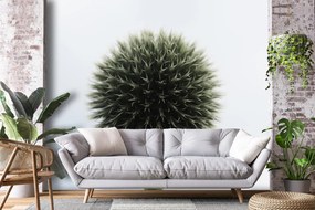 Fototapet - Flori tropicale (147x102 cm)