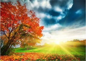 Tablou peisaj cu scufundat în razele solare (70x50 cm)