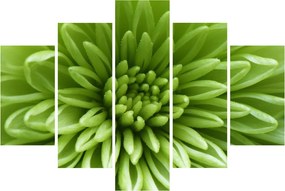 Tablou - Imagine macro a unei plante (150x105 cm)