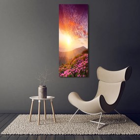 Imprimare tablou canvas Primăvară în munți