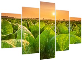 Tablou - Câmp (150x105 cm)