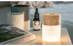 Difuzor de parfum electric Smart – Gingko