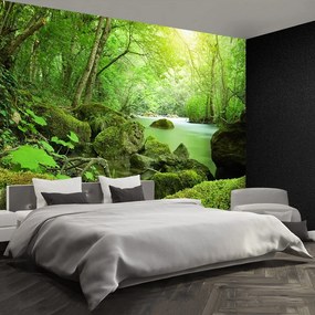 Fototapet River Forest