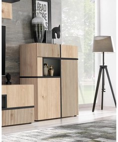 Vitrină Carlyn WSN (hikora jackson + negru (cu iluminat LED). 1097594