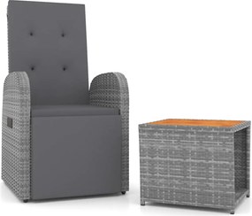 vidaXL Set șezlonguri de grădină, 2 piese, poliratan și lemn acacia