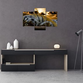 Tablou tigrul dormind (90x60 cm)