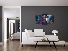 Tablou cu cosmos (90x60 cm)