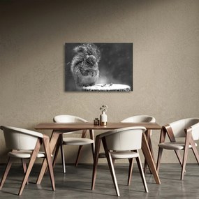Tablou pe sticlă - Veveriță în timpul iernii (70x50 cm)