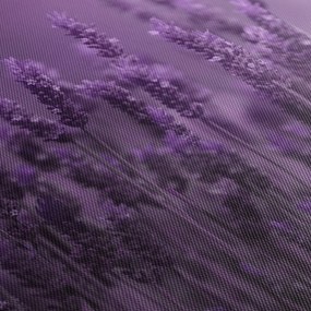 Tablou - Lavanda (90x60 cm)