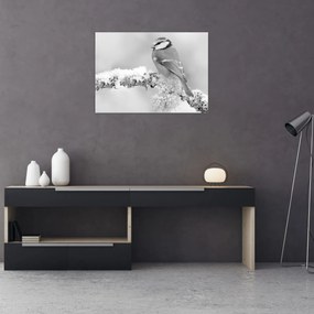 Tablou pe sticlă - O pasăre pe o creangă (70x50 cm)