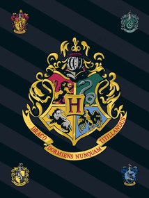 Harry Potter pătură polară 100*140cm