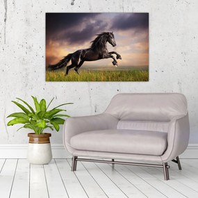 Tablou - Cai (90x60 cm)