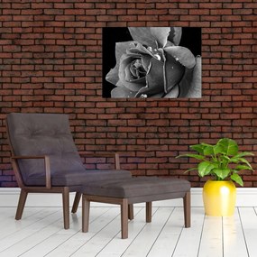 Tablou pe sticlă cu trandafir - albneagră (70x50 cm)
