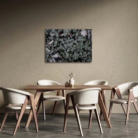 Tablou - Plante înghețate (70x50 cm)