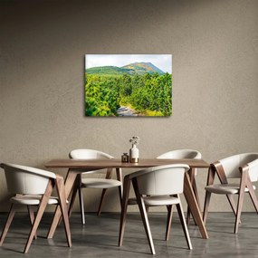 Tablou - Babi Hora, Polonia (70x50 cm)