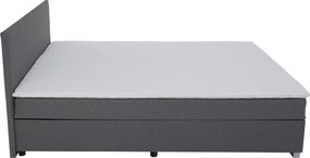 Pat Boxspring, gri, 160x200, ADARA