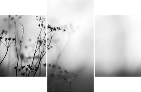 Tablou - Detailu florior de luncă (90x60 cm)