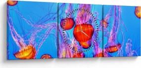 Tablou cu meduse în mare (cu ceas) (90x30 cm)