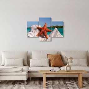 Tablou cu stea de mare (90x60 cm)