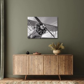 Tablou - Aeronava (70x50 cm)