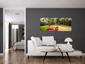 Tablou - mașina veteran în natură (120x50 cm)