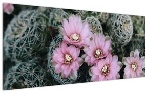 Tablou floare de cactus (120x50 cm), în 40 de alte dimensiuni noi