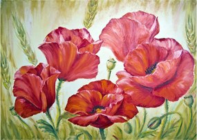 Tablou pe sticlă - Mac - flori (70x50 cm)